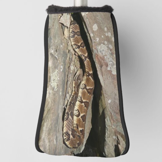 Rattlesnake in het Nationaal Park Shenandoah Golfheadcover (Draai 90)