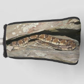 Rattlesnake in het Nationaal Park Shenandoah Golfheadcover (Voorkant)