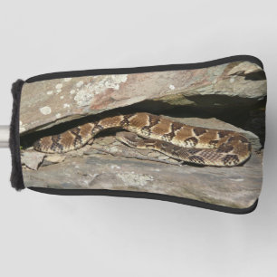 Rattlesnake in het Nationaal Park Shenandoah Golfheadcover