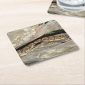 Rattlesnake in het Nationaal Park Shenandoah Kartonnen Onderzetters (Schuin)