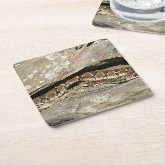 Rattlesnake in het Nationaal Park Shenandoah Kartonnen Onderzetters (Schuin)