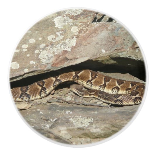 Rattlesnake in het Nationaal Park Shenandoah Keramische Knop (Voorkant)
