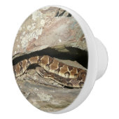 Rattlesnake in het Nationaal Park Shenandoah Keramische Knop (Rechts)