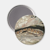 Rattlesnake in het Nationaal Park Shenandoah Magneet (Voorkant / Achterkant)