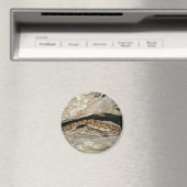 Rattlesnake in het Nationaal Park Shenandoah Magneet (Insitu (Vaatwasser))