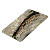 Rattlesnake in het Nationaal Park Shenandoah Magneet (Linkerzijde)