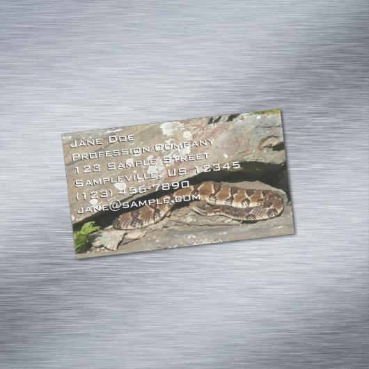 Rattlesnake in het Nationaal Park Shenandoah Magnetisch Visitekaartje (Voorbeeld)