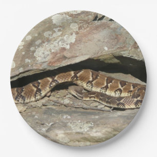 Rattlesnake in het Nationaal Park Shenandoah Papieren Bordje