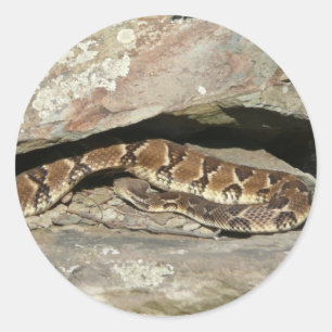 Rattlesnake in het Nationaal Park Shenandoah Ronde Sticker