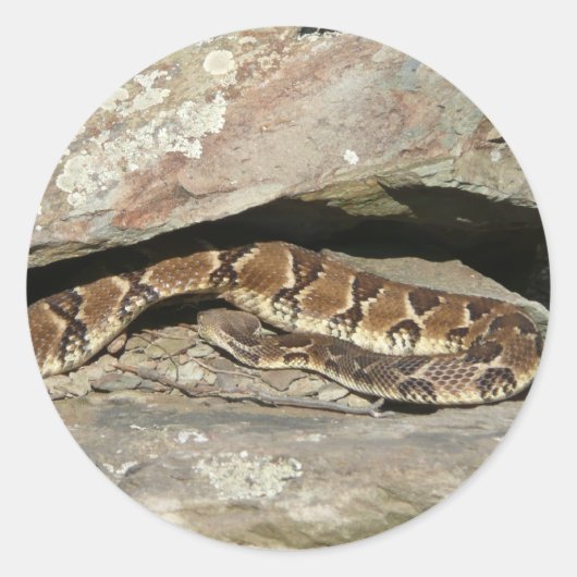 Rattlesnake in het Nationaal Park Shenandoah Ronde Sticker (Voorkant)