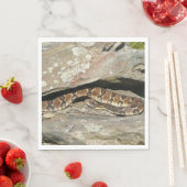 Rattlesnake in het Nationaal Park Shenandoah Servetten (Insitu)