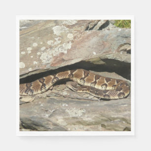 Rattlesnake in het Nationaal Park Shenandoah Servetten