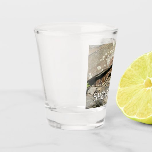 Rattlesnake in het Nationaal Park Shenandoah Shot Glas (Links)