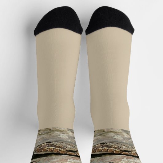 Rattlesnake in het Nationaal Park Shenandoah Sokken (Top)