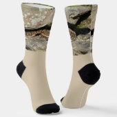 Rattlesnake in het Nationaal Park Shenandoah Sokken (Gebogen)