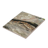 Rattlesnake in het Nationaal Park Shenandoah Tegeltje (Zijkant)