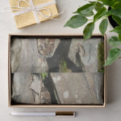 Rattlesnake in het Nationaal Park Shenandoah Tissuepapier (Geschenk)