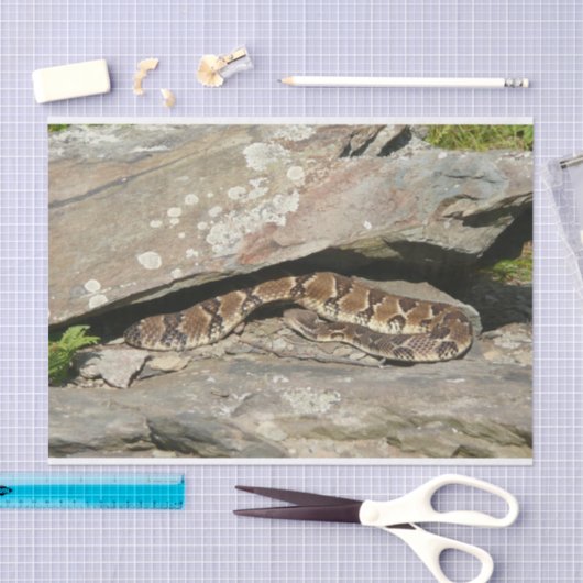 Rattlesnake in het Nationaal Park Shenandoah Tissuepapier (Craft)