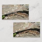 Rattlesnake in het Nationaal Park Shenandoah Visitekaartje (Voorkant / Achterkant)