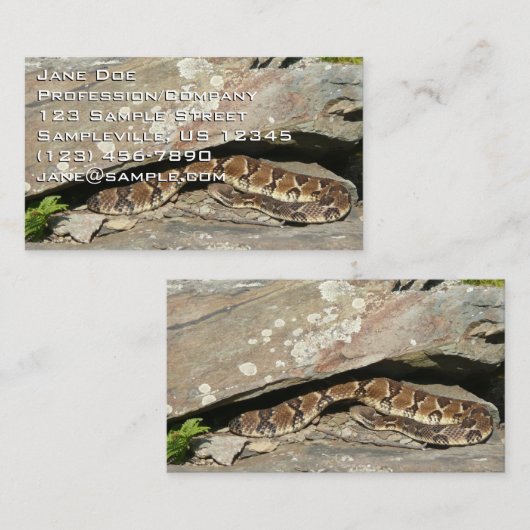 Rattlesnake in het Nationaal Park Shenandoah Visitekaartje (Voorkant / Achterkant)