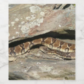 Rattlesnake in het Nationaal Park Shenandoah Wijn Etiket (Enkel label)