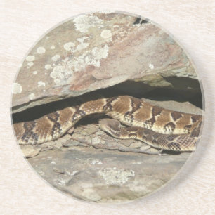 Rattlesnake in het Nationaal Park Shenandoah Zandsteen Onderzetter