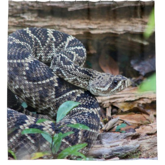 Rattlesnake In The Wild Douchegordijn (Voorkant)