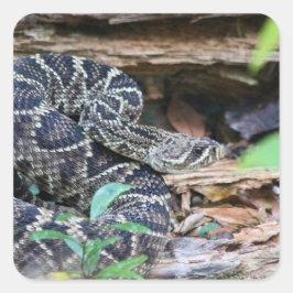 Rattlesnake In The Wild Vierkante Sticker