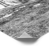 Rattlesnake Joe Sideshow, jaren 20 Poster (Hoek)