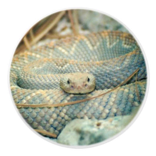 Rattlesnake Keramische Knop (Voorkant)