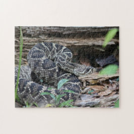 Rattlesnake Legpuzzel
