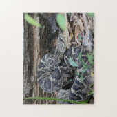 Rattlesnake Legpuzzel (Verticaal)