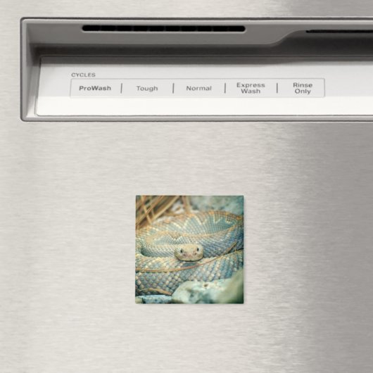 Rattlesnake magnet (Insitu (Vaatwasser))