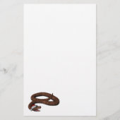 Rattlesnake met Santa Hat (Voorkant)