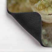 Rattlesnake Muismat (Hoek)