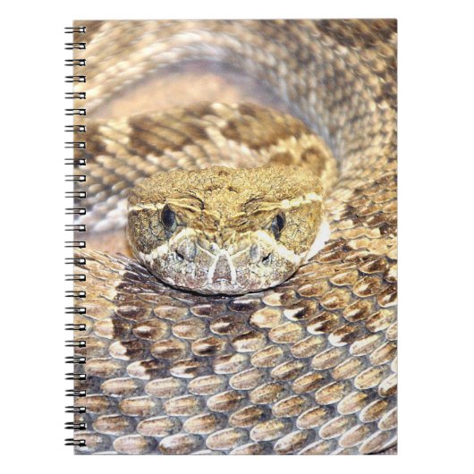 Rattlesnake Notitieboek (Voorkant)