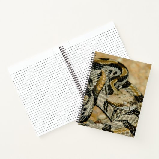 Rattlesnake Notitieboek (Binnen)