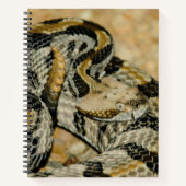 Rattlesnake Notitieboek (Voorkant)