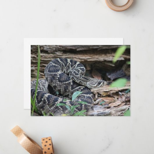 Rattlesnake Notitiekaartje (Voorkant / Achterkant in situ)