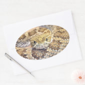 Rattlesnake Ovale Sticker (Envelop)