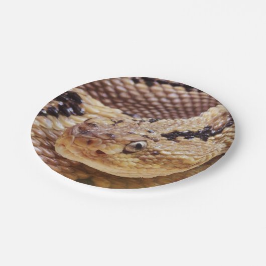 Rattlesnake Paper Party-Borden Papieren Bordje (Gekanteld)