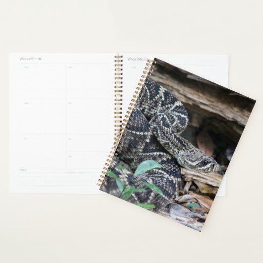 Rattlesnake Planner (Display)