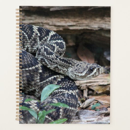 Rattlesnake Planner (Voorkant)
