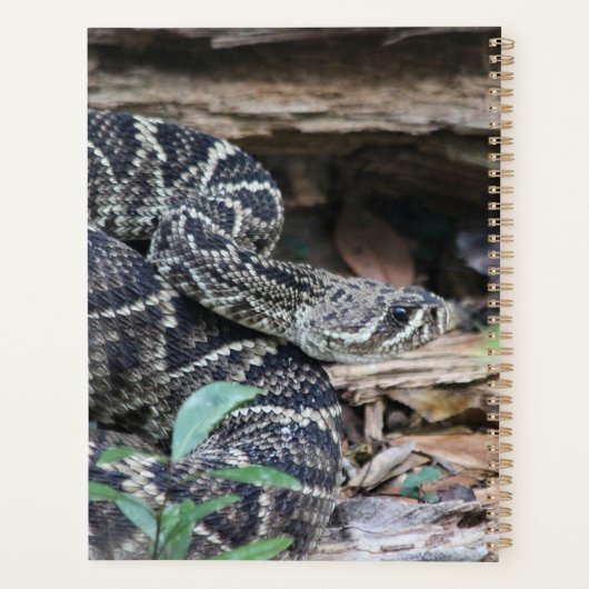 Rattlesnake Planner (Achterkant)