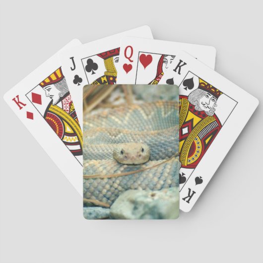 Rattlesnake Pokerkaarten (Achterkant)