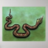 Rattlesnake poster (Voorkant)
