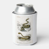 Rattlesnake Saharan horned Viper illustratie Blikjeskoeler (Blikje Voorkant)