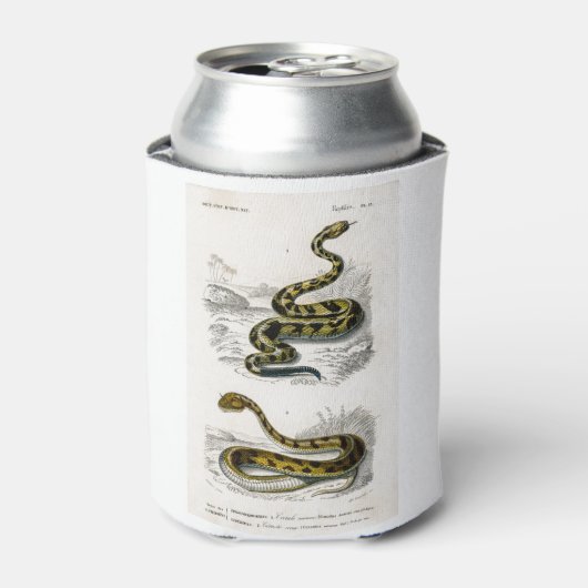 Rattlesnake Saharan horned Viper illustratie Blikjeskoeler (Blikje Voorkant)