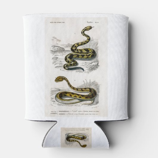 Rattlesnake Saharan horned Viper illustratie Blikjeskoeler (Achterkant)