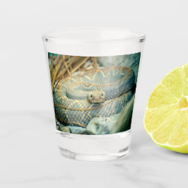 Rattlesnake Shot Glas